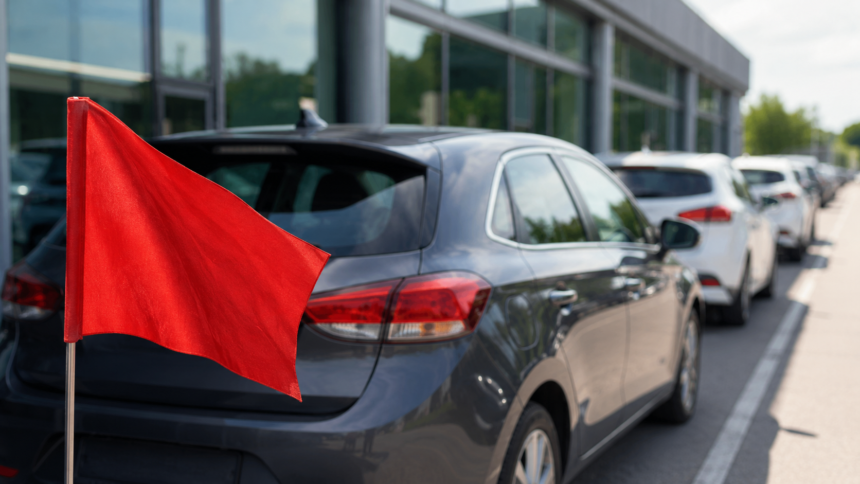 Red Flags